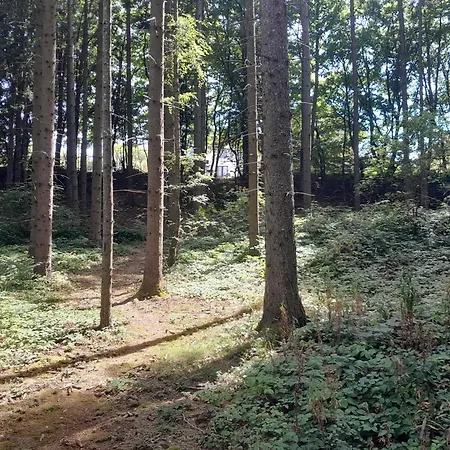 Ruza Vetrova Kušići