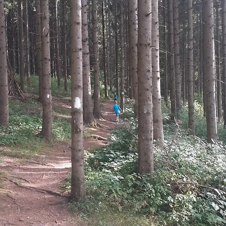 Vakantiehuis Ruza Vetrova *