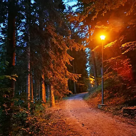Semesterbostad Ruza Vetrova Kušići
