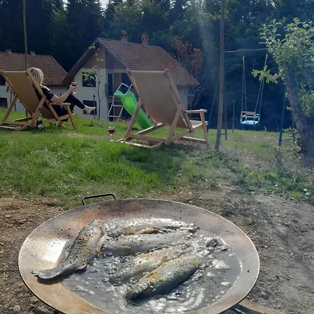 Vakantiehuis Ruza Vetrova *