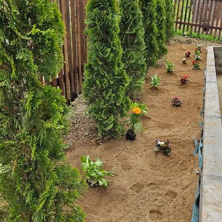 Ruza Vetrova Semesterbostad *