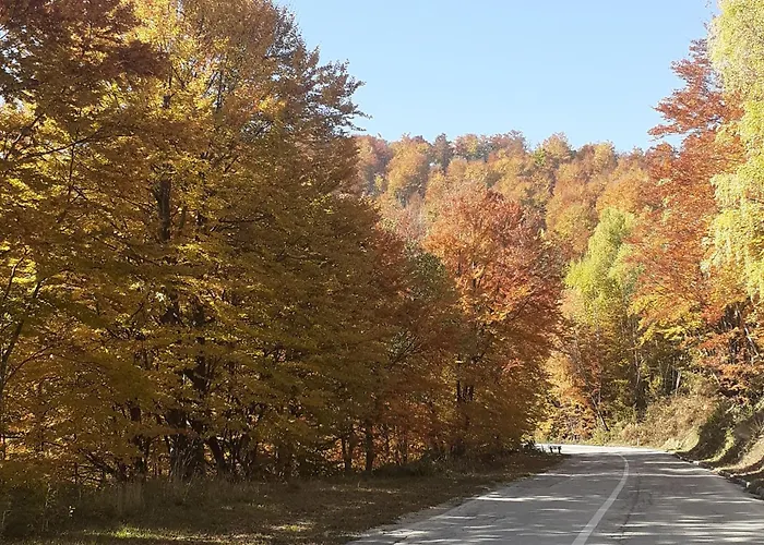 Nyaraló Ruza Vetrova *