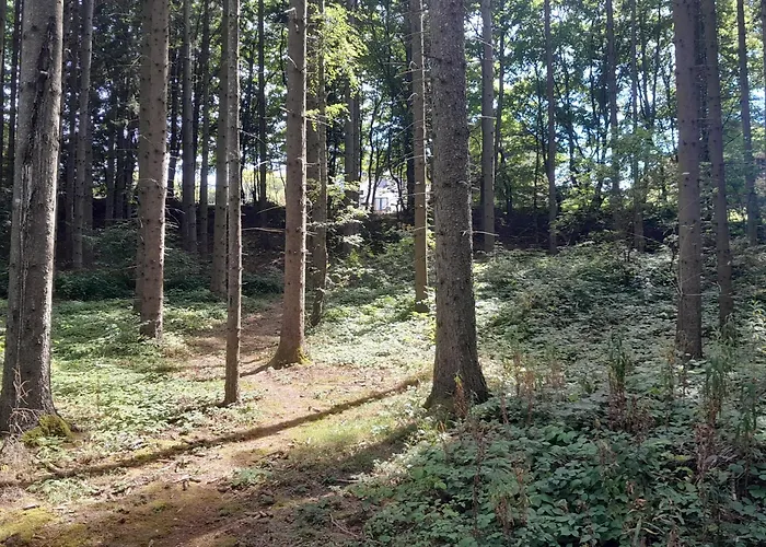 Ruza Vetrova Kušići