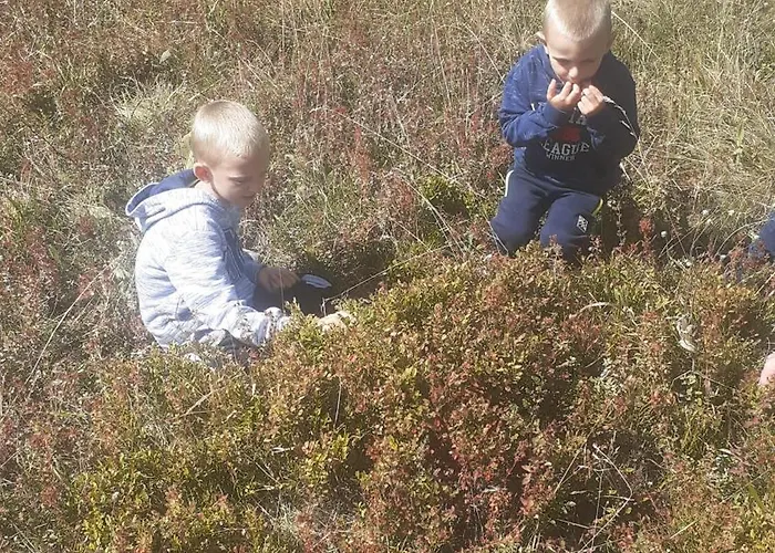 Ruza Vetrova Nyaraló *