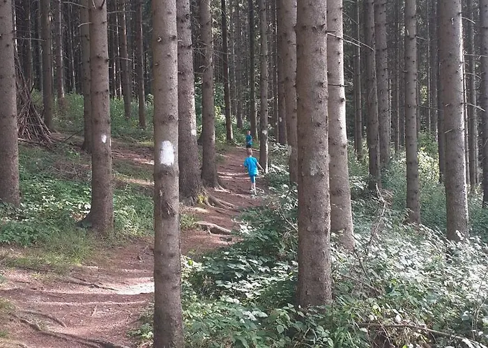 Nyaraló Ruza Vetrova *