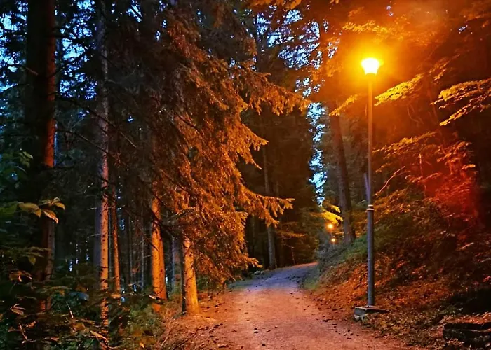 Nyaraló Ruza Vetrova Kušići